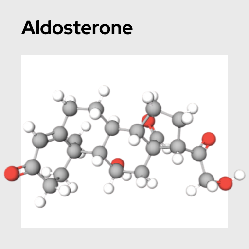 Aldosterone Molecule