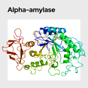 Alpha-amylase Molecule