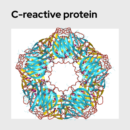 C-reactive protein Molecule