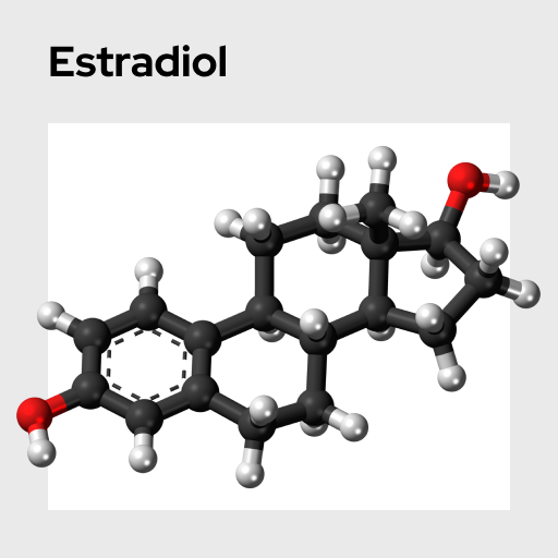Estradiol Molecule