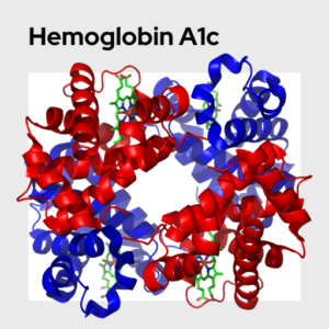 Hemoglobin A1c Molecule