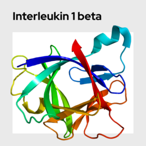 Interleukin 1 beta Molecule