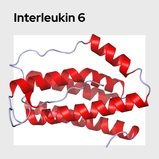 Interleukin 6 Molecule