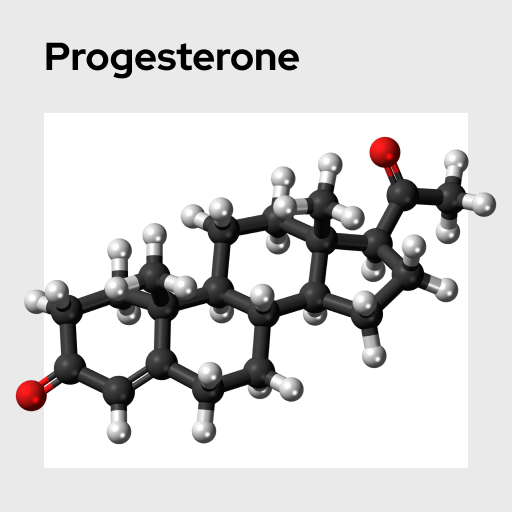 Progesterone Molecule