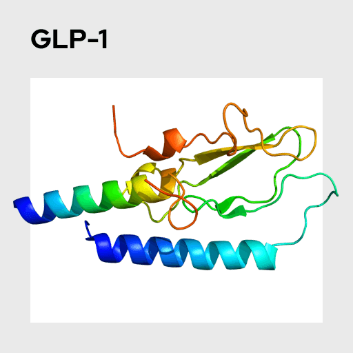 Glucagon-like peptide 1 (GLP-1) Molecule