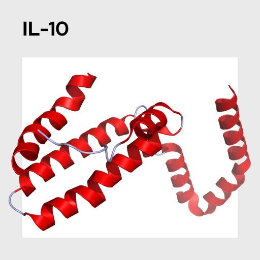 Interleukin 10 (IL-10) Molecule