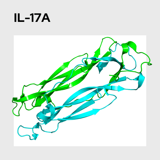 Interleukin 17A (IL-17A) Molecule