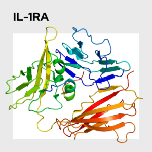 Interleukin 1RA (IL-1RA) Molecule