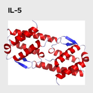 Interleukin 5 (IL-5) Molecule