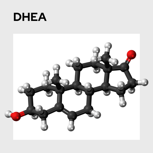DHEA Molecule