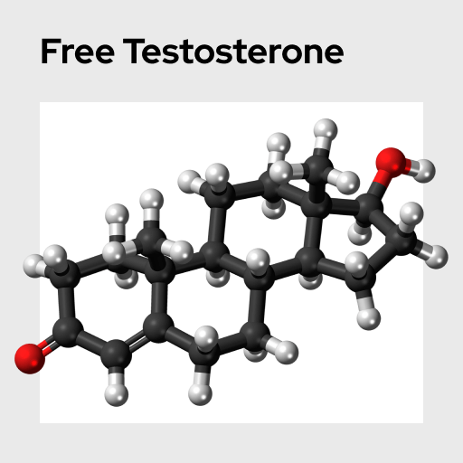 Testosterone Molecule